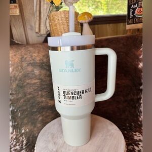 The Quencher H2.0 FlowState Tumbler |40 OZ Mist Mint green New